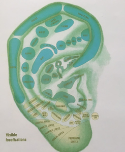 didem-akupunktur-galeri-sayfasi-img-16---